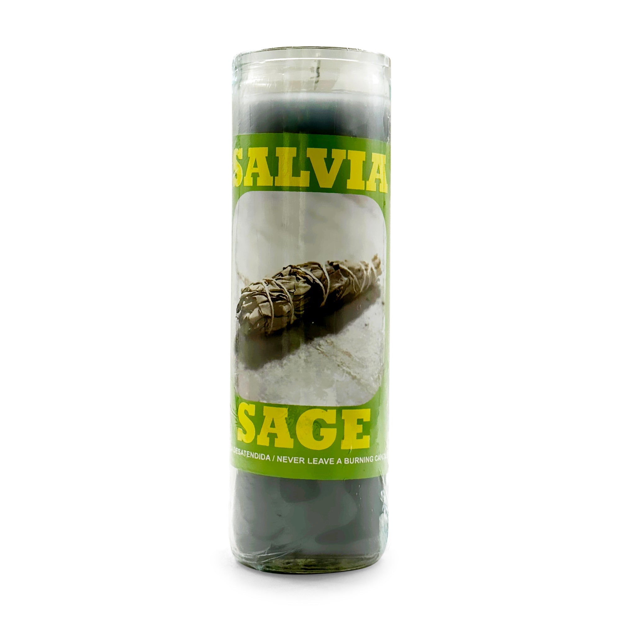 Salvia/Salvia