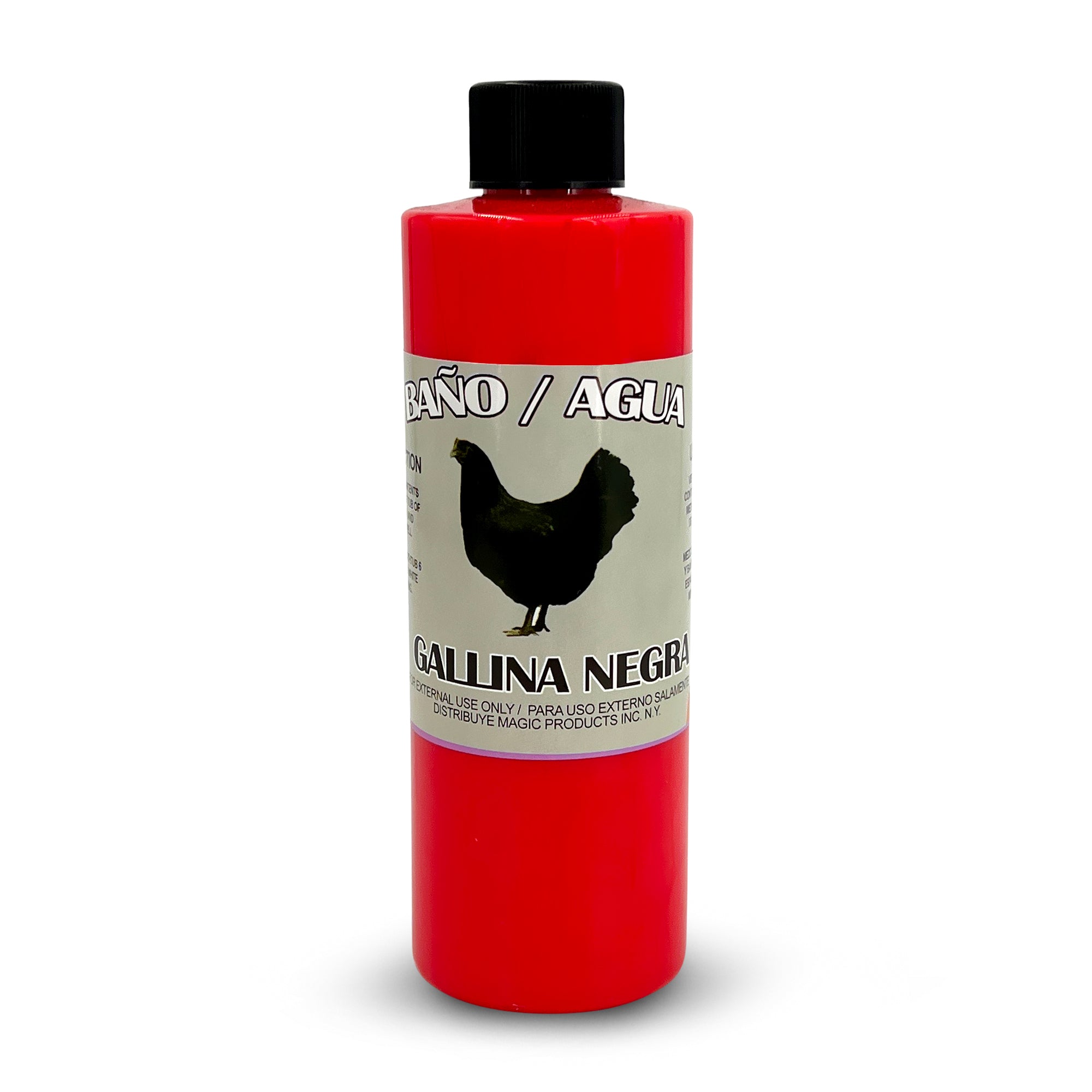 Gallina Negra / Black Chicken