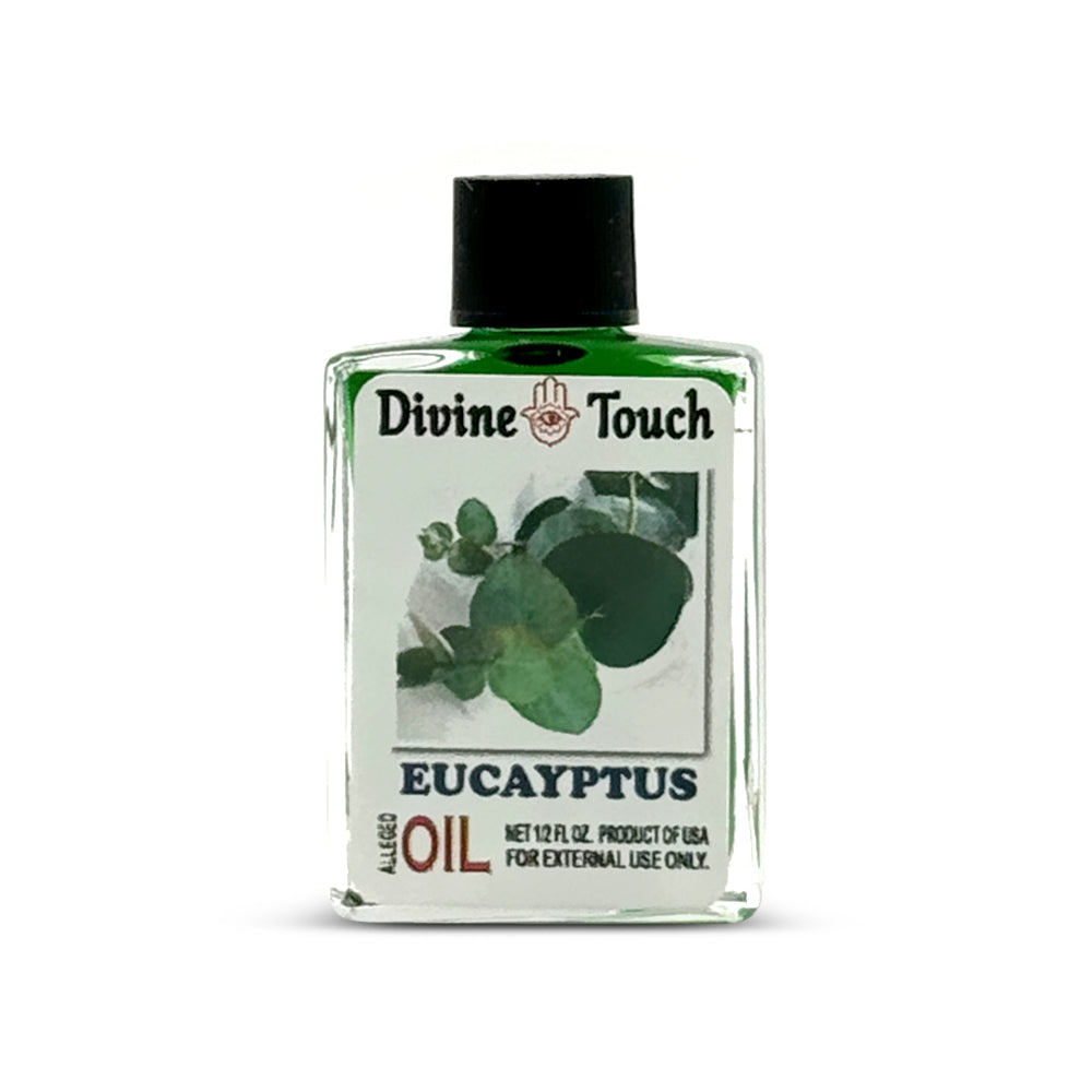 Eucalyptus / Eucalipto